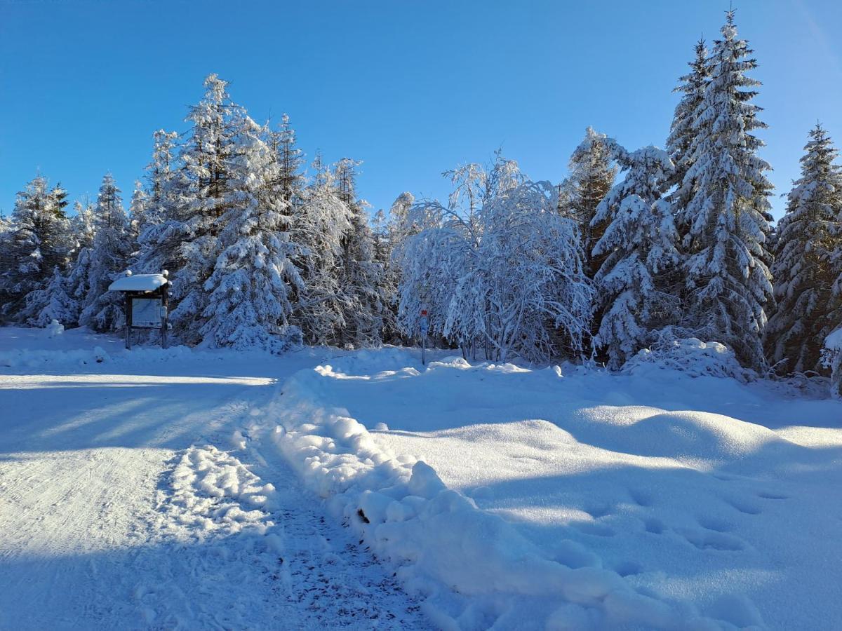 Wohnen Wie Bei Freunden Braunlage Kültér fotó